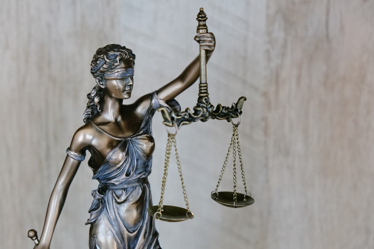 guy-avni-lawyer strategy ethics decisions professionalism img-3 photo-3 | legal image 3 | guy-avni-ethical-decision-making-guide תצלום משפטי 3 - guy-avni-lawyer strategy ethics decisions professionalism img-3 photo-3 - Avni Guy legal content